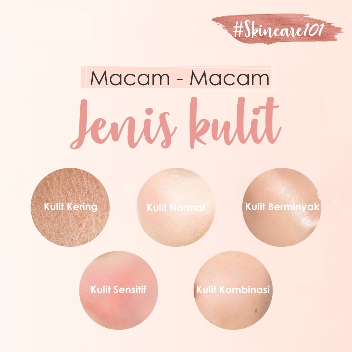 Macam-macam Jenis Kulit Macam-macam Jenis Kulit