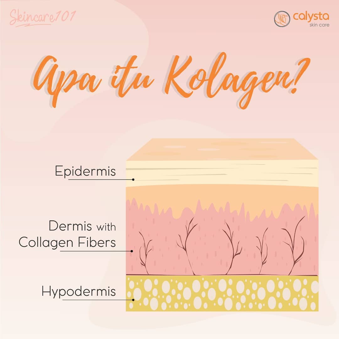 Apa itu Kolagen? Apa itu Kolagen?