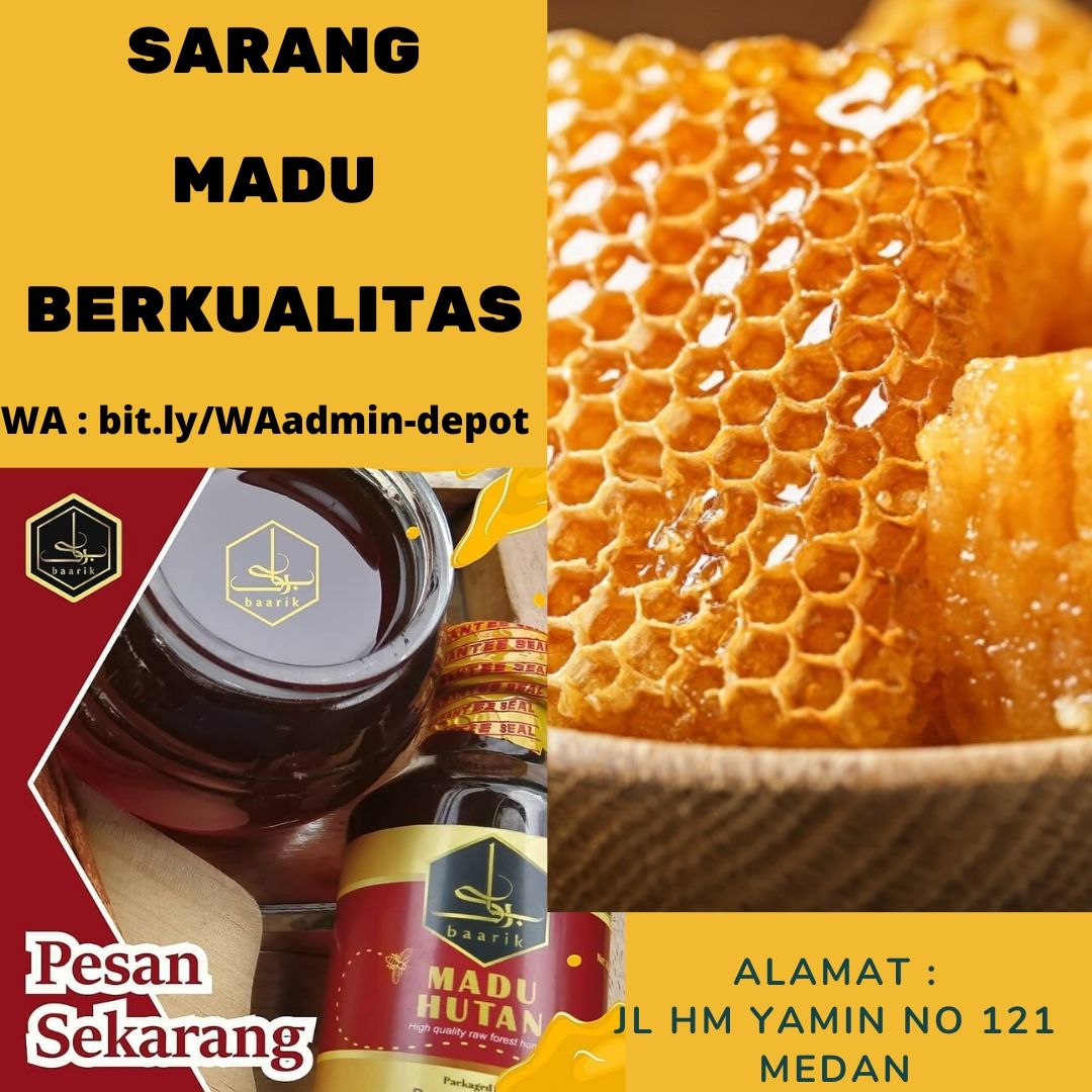 Jual Sarang Madu Berkualitas di Medan Jual Sarang Madu Berkualitas di Medan