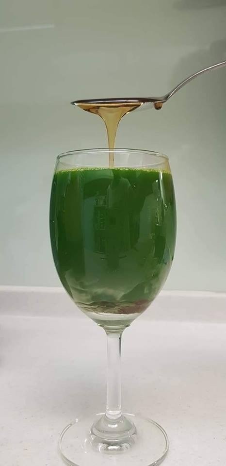 Membuat jus daun pepaya Kaya Manfaat Membuat jus daun pepaya Kaya Manfaat