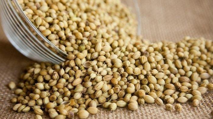Ini 6 Khasiat Nyata Minum Air Rendaman Biji Ketumbar! Atasi Diabetes hingga Kolesterol Jahat Ini 6 Khasiat Nyata Minum Air Rendaman Biji Ketumbar! Atasi Diabetes hingga Kolesterol Jahat