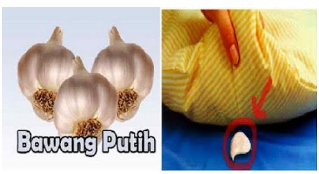 Letakkan Bawang Putih di Bawah Bantal saat Tidur, Ini Khasiat yang Bakal Anda Rasakan Letakkan Bawang Putih di Bawah Bantal saat Tidur, Ini Khasiat yang Bakal Anda Rasakan
