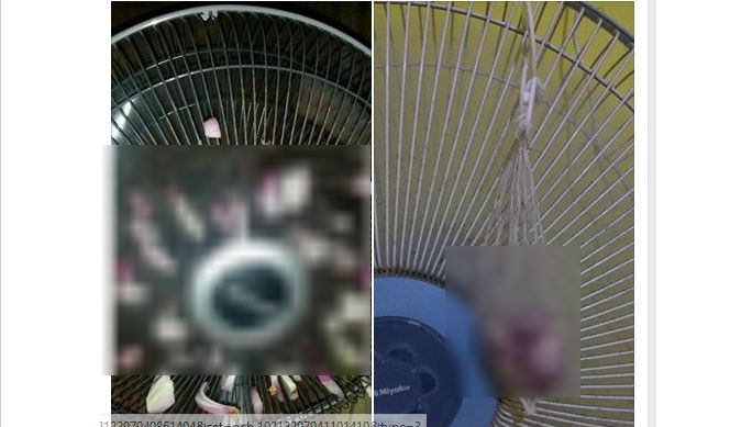Aneh Tapi Mujarab, Seorang Ibu Obati Flu Anaknya Dengan Kipas Angin Yang Ditempel Benda ini, Subhanallah Ternyata Sembuh Aneh Tapi Mujarab, Seorang Ibu Obati Flu Anaknya Dengan Kipas Angin Yang Ditempel Benda ini, Subhanallah Ternyata Sembuh