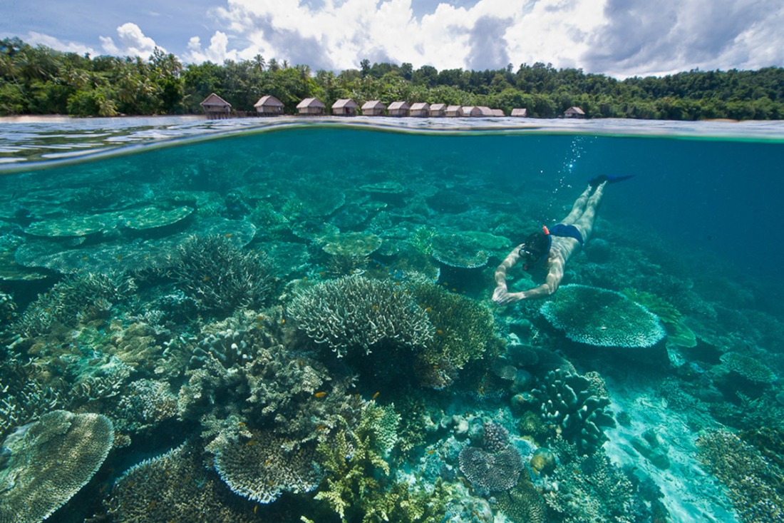 Raja Ampat Jadi Destinasi Snorkeling Terbaik Dunia 2024