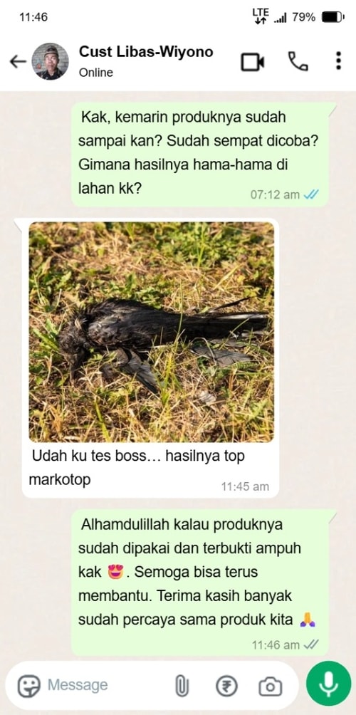 -