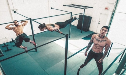 latihan workout untuk pemula Panduan Melakukan Latihan  Calisthenics Untuk  Pemula 