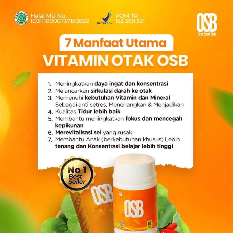 7 Manfaat Utama Vitamin Otak OSB