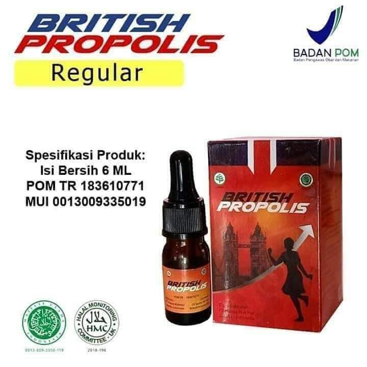 Pusat British Propolis Indonesia Salah Satu Propolis